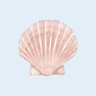 Profile picture of natalie 🐚